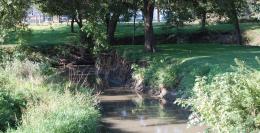 Dappled Creek